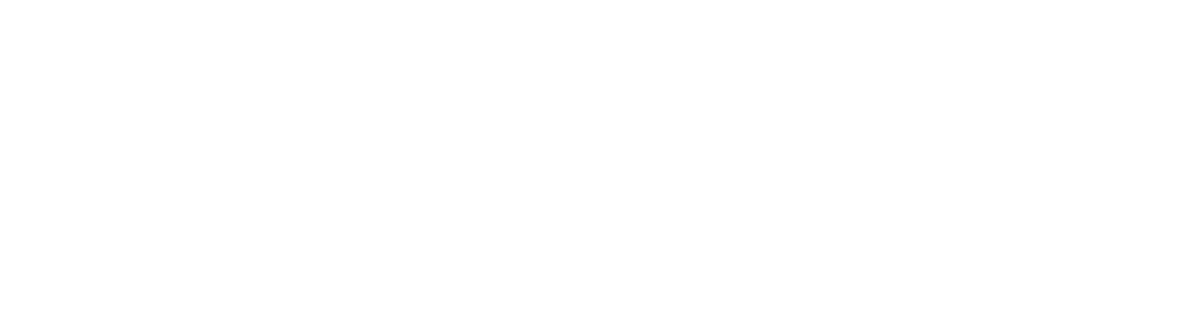 CV Wealth Partners